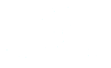 LaBriller ラブリエ 公式サイト　ナノイズムジャパン 株式会社